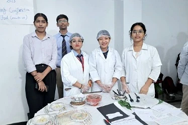 Collaborative Research Projects