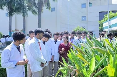 Research and Dissertation Work