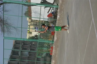 quantum gallery 0197