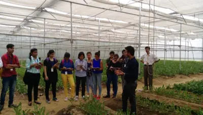 quantum gallery 0421