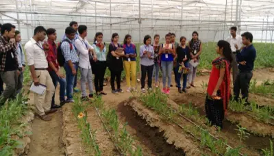 quantum gallery 0423