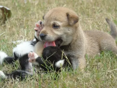 quantum gallery 0439