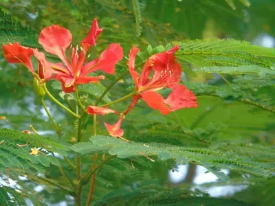 quantum gallery 0440