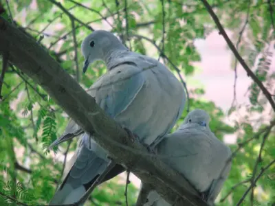 quantum gallery 0443