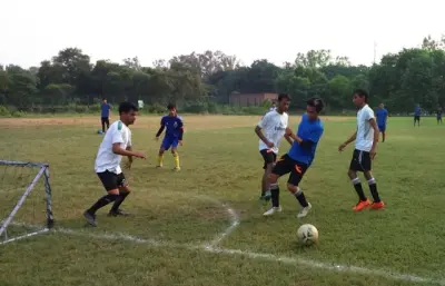 quantum gallery 0469