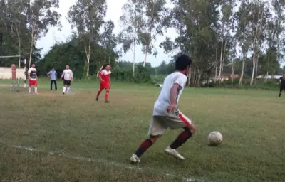 quantum gallery 0473