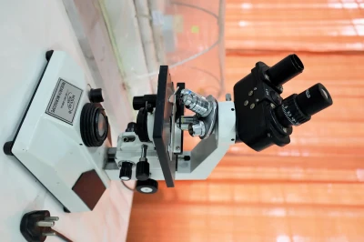 Horticulture and Plant Breeding Lab