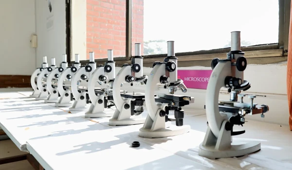 Human Anatomy & Physiology Lab