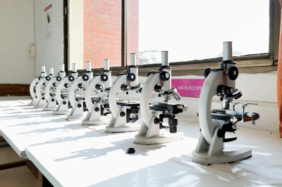 Human Anatomy & Physiology Lab