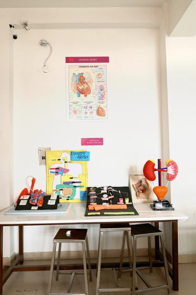 Human Anatomy & Physiology Lab