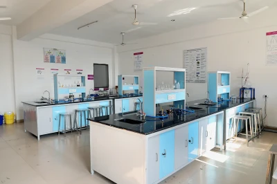 Pharmaceutics Lab II