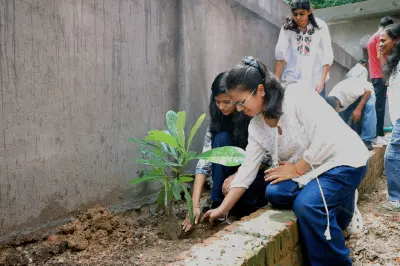 Quantum University Celebrates Harela with Mega Plantation Drive, Promoting Environmental Sustainability