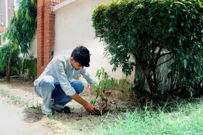 Quantum University Celebrates Harela with Mega Plantation Drive, Promoting Environmental Sustainability
