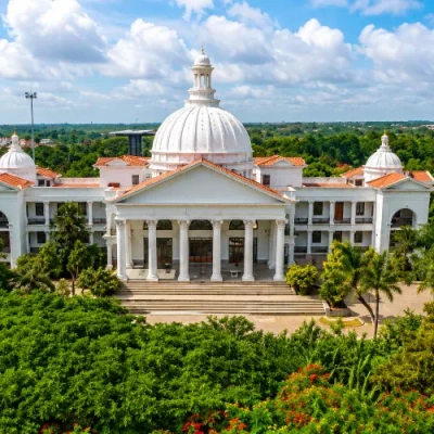 alliance university