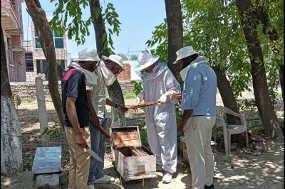 Quantum University Organizes Five Day Apiculture Training for B.Sc. (Hons.) Agriculture Students